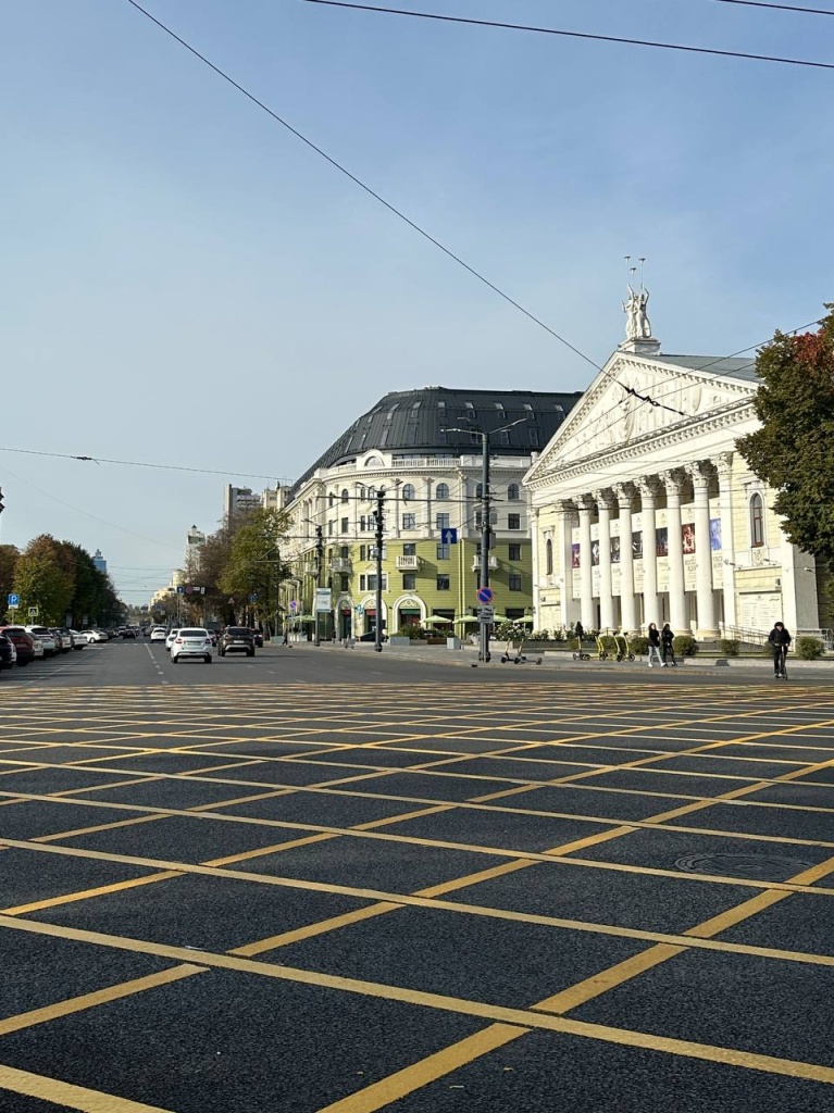 В Воронеже на площади Ленина, возле театра оперы и балета, а также рядом с Никитинской библиотекой появилась вафельная разметка