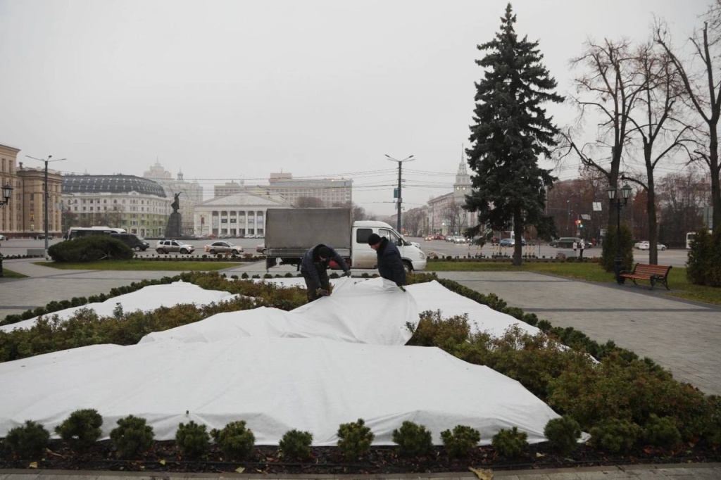 В Воронеже в сквере им. Ивана Бунина клумбы подготовили к зиме В Воронеже в сквере им. Ивана Бунина клумбы подготовили к зиме