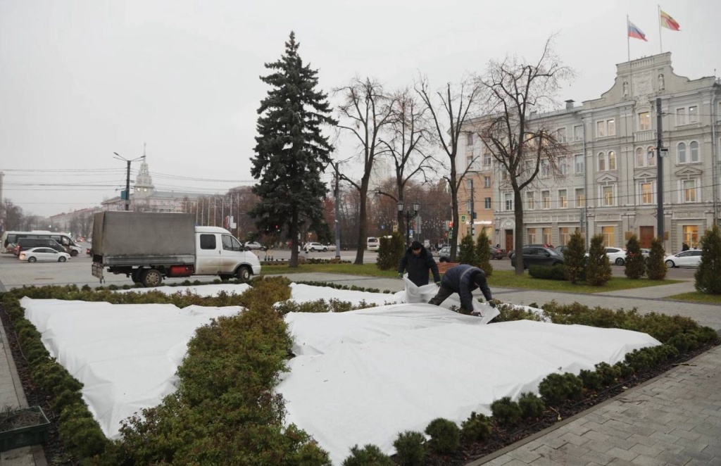 В Воронеже в сквере им. Ивана Бунина клумбы подготовили к зиме В Воронеже в сквере им. Ивана Бунина клумбы подготовили к зиме