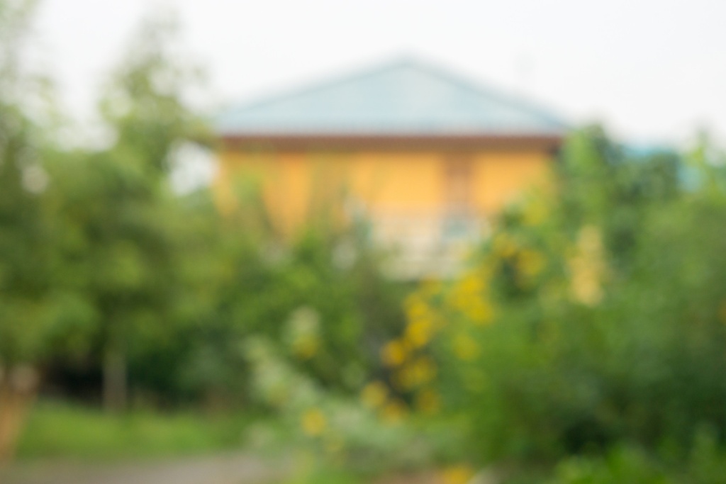 В Воронежской области выберут самое красивое село