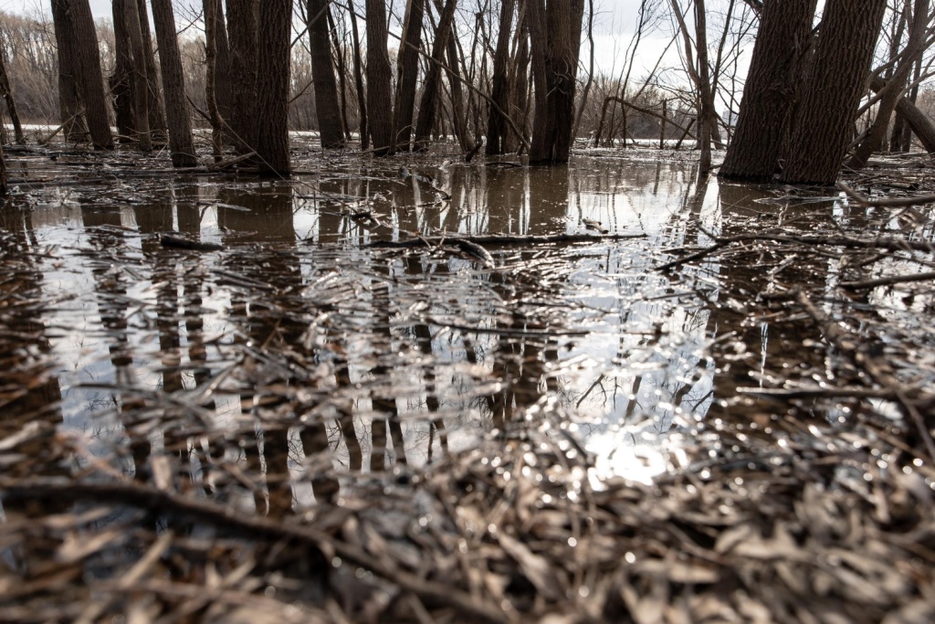 В одном из сёл Воронежской области образовался пруд с фекалиями