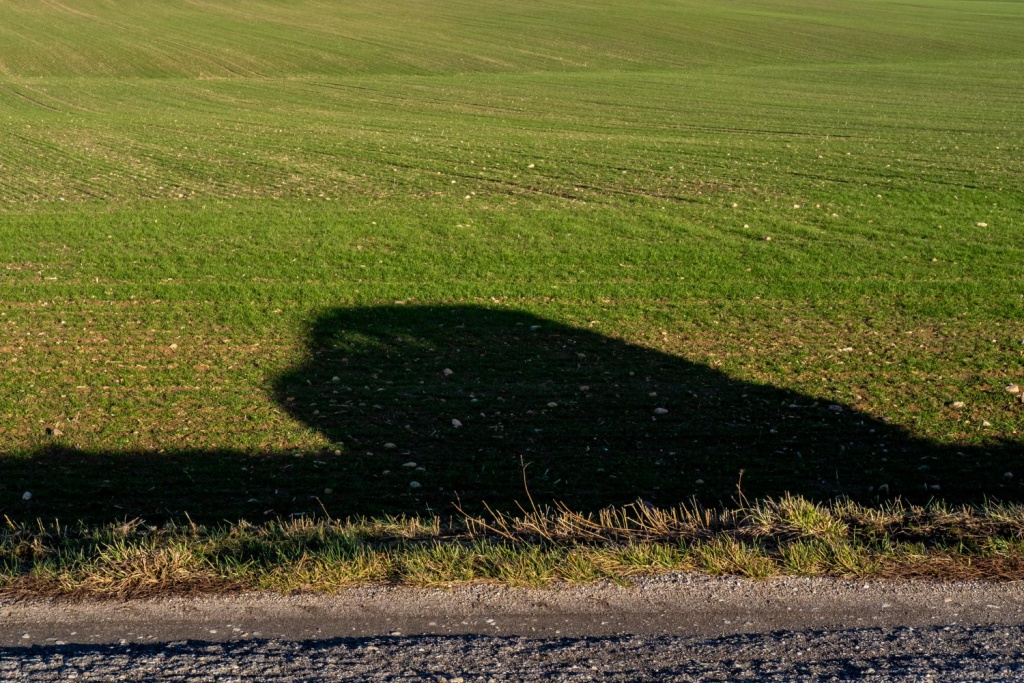Ставропольская прокуратура потребовала вернуть землю, используемую не по целевому назначению