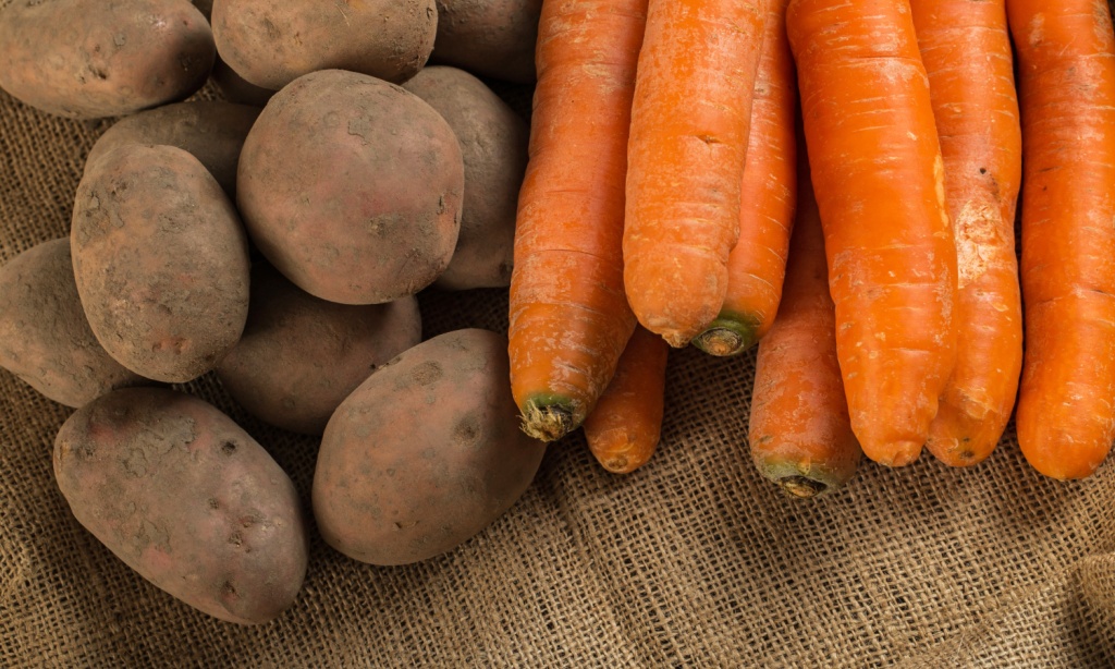 Почти полмиллиона овощей и фруктов беспошлинно ввезут в Россию Почти полмиллиона овощей и фруктов беспошлинно ввезут в Россию