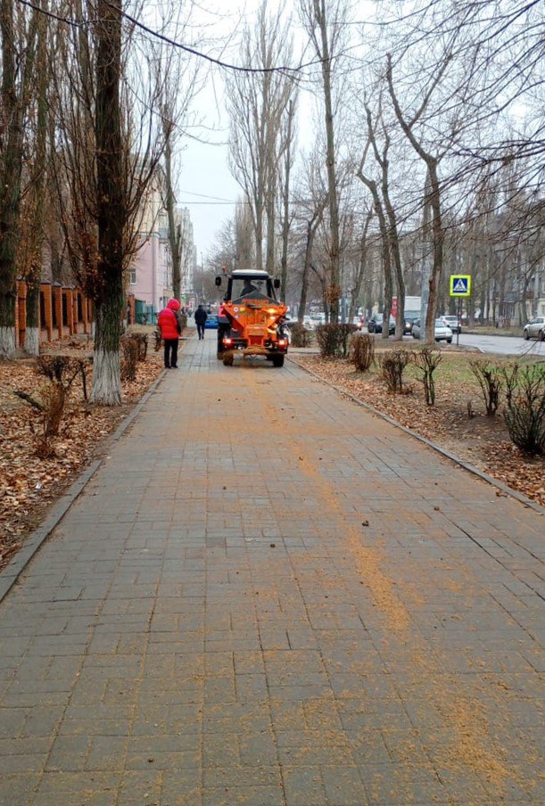 В Воронеже улицы и тротуары обрабатывают противогололёдными материалами В Воронеже улицы и тротуары обрабатывают противогололёдными материалами