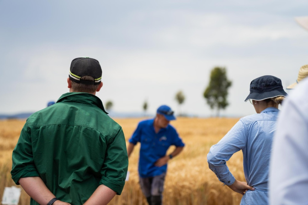 Губернатор Воронежской области рассказал о работе в Совете Федерации