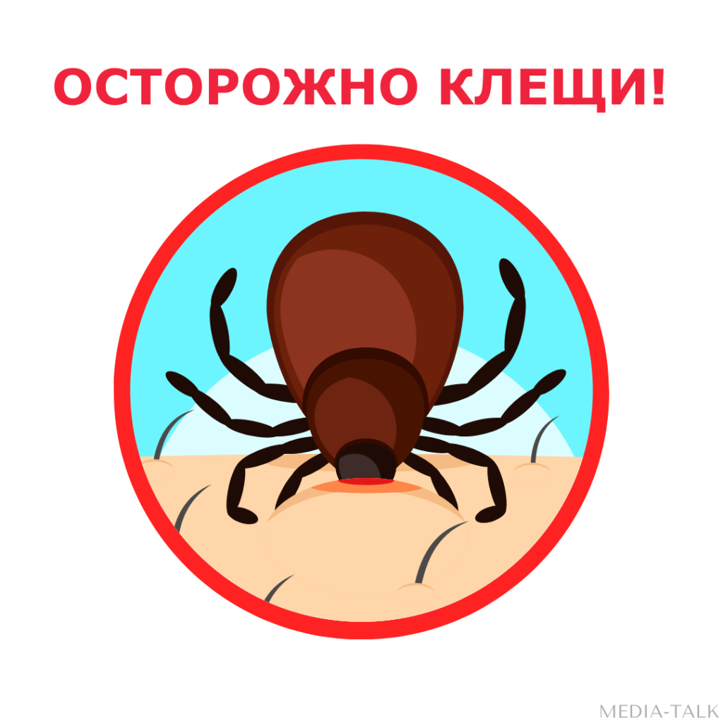 В Псковской области появились первые заразившиеся энцефалитом