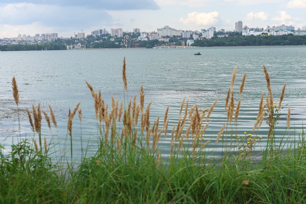 Мэр Воронежа посетил набережную Авиастроителей: работы завершаются, но подрядчик будет оштрафован