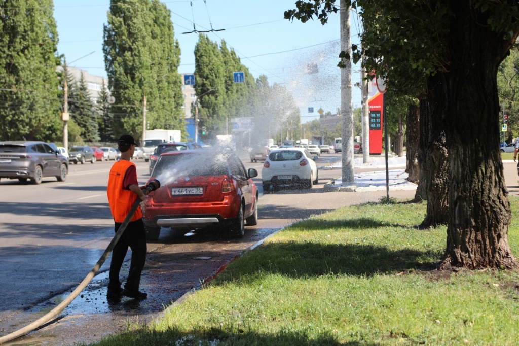 Мэр Воронежа Сергей Петрин: районные комбинаты благоустройства работают в круглосуточном режиме