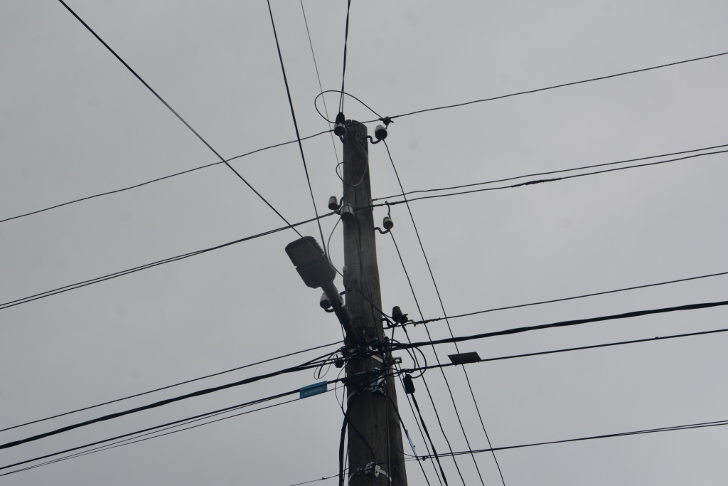 Депутат гордумы Андрей Зачупейко провёл выездной приём в частном секторе Воронежа