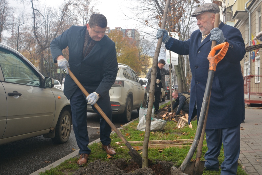 Воронежские депутаты высадили молодые клены у парка «Орленок» в преддверии Дня народного единства