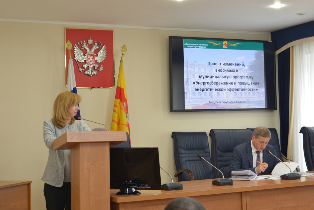 Депутаты Воронежской гордумы отправили на доработку программу «Развитие образования»: требуется учесть строительство школ и детсадов без переносов сроков