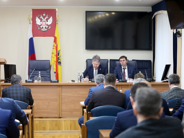 Депутаты городской Думы Воронежа согласовали кандидатуры руководителей двух районных управ