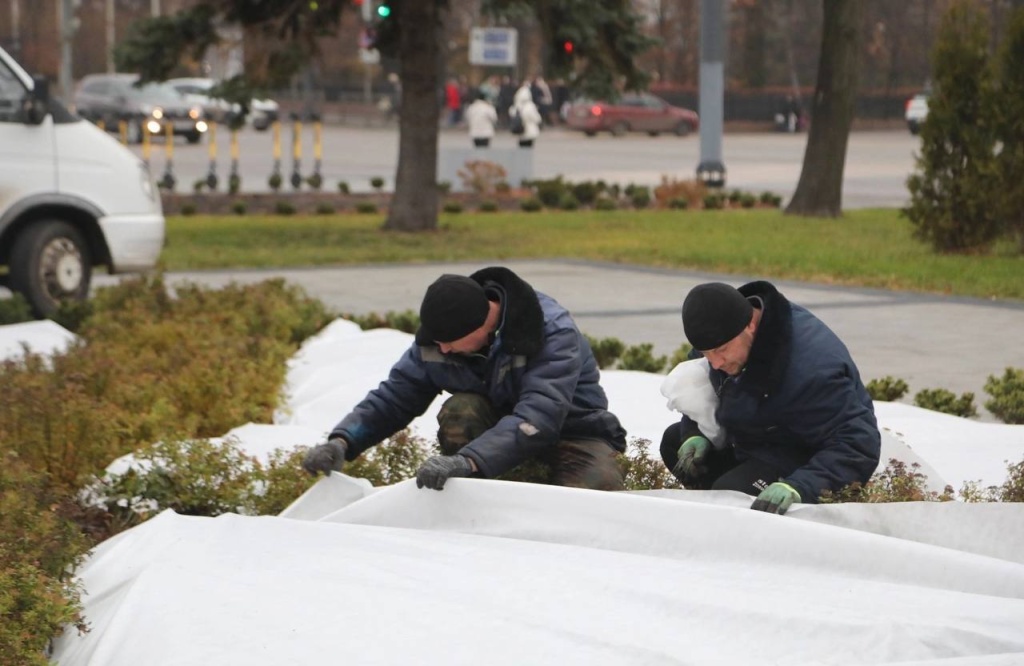 В Воронеже в сквере им. Ивана Бунина клумбы подготовили к зиме В Воронеже в сквере им. Ивана Бунина клумбы подготовили к зиме