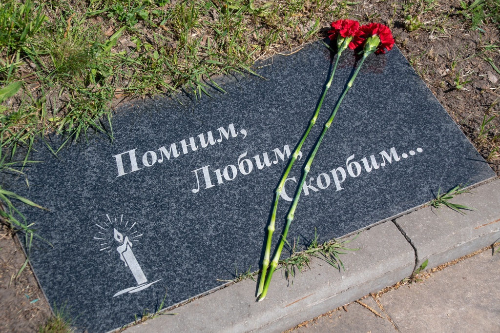 День Победы в Воронеже: депутаты вместе с жителями почтили память героев и поздравили ветеранов