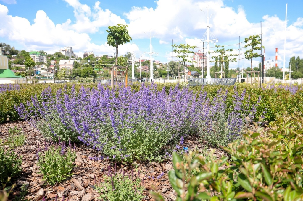 Мэр Воронежа предложил горожанам поделиться идеями, чем дополнить Петровскую набережную