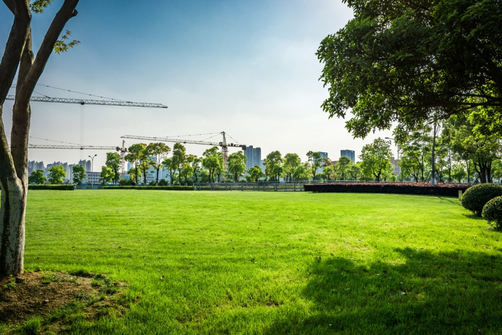 Рядом с Воронежем не будут строить инвестиционный парк "М4-Дон" 