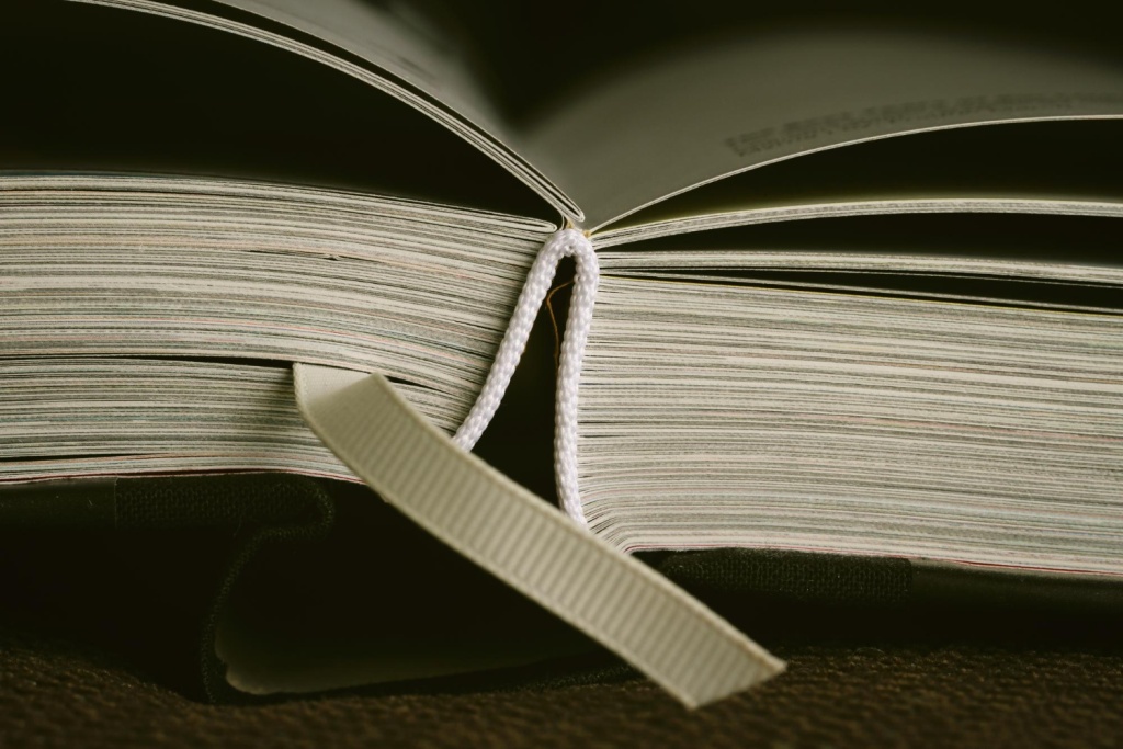 Илон Маск готовит замену «Википедии»