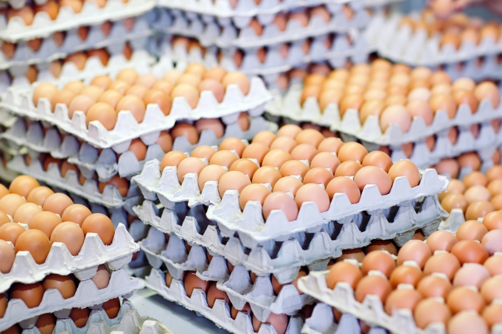 «Известия»: импортные яйца так и не попали в магазины РФ